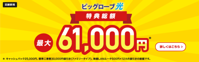 ビッグローブ光