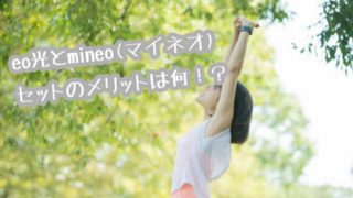 eoマイネオ画像