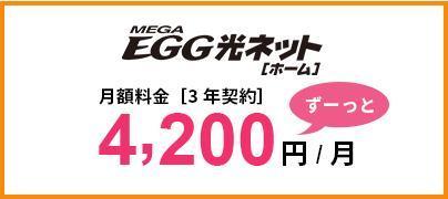 megaegg光4200円