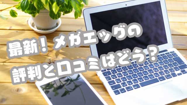 メガエッグ光画像